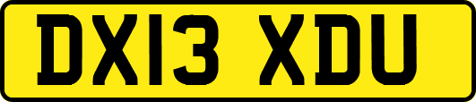 DX13XDU