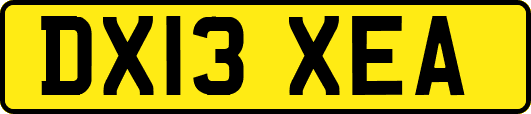 DX13XEA