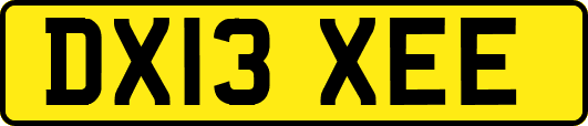 DX13XEE