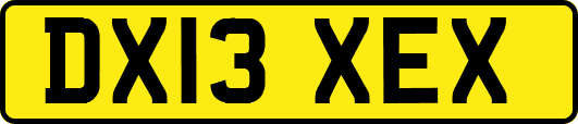 DX13XEX