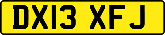 DX13XFJ