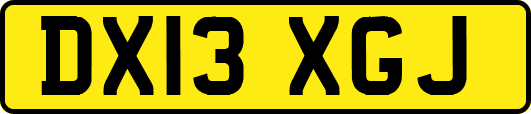 DX13XGJ