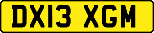 DX13XGM