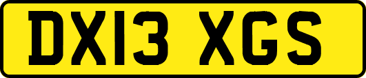 DX13XGS