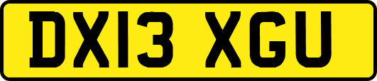 DX13XGU