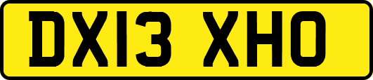 DX13XHO