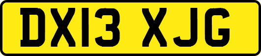 DX13XJG