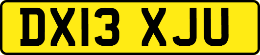 DX13XJU
