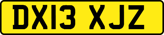 DX13XJZ