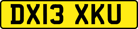 DX13XKU
