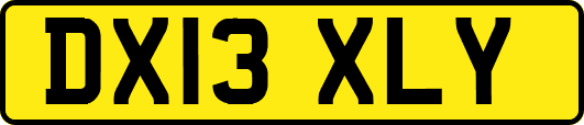 DX13XLY