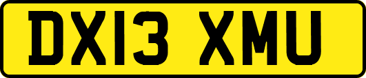 DX13XMU