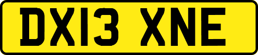 DX13XNE