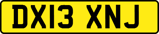 DX13XNJ