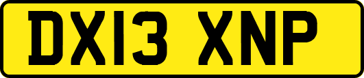 DX13XNP