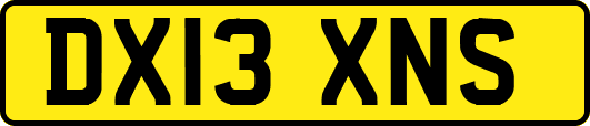 DX13XNS