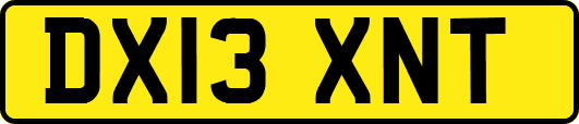 DX13XNT