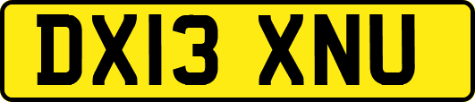 DX13XNU