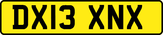 DX13XNX