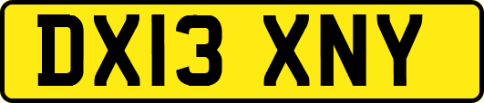 DX13XNY