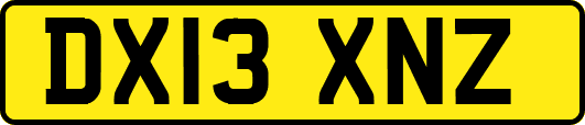 DX13XNZ