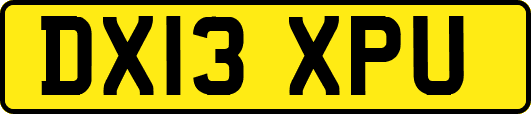 DX13XPU
