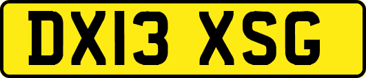 DX13XSG