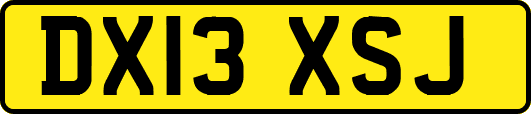 DX13XSJ