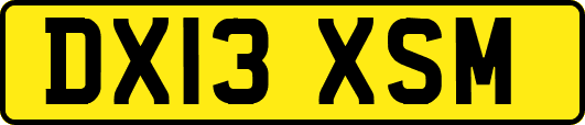 DX13XSM