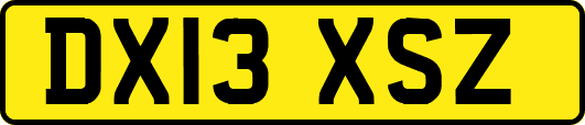 DX13XSZ