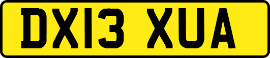 DX13XUA