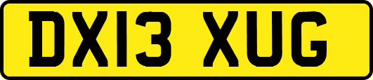 DX13XUG