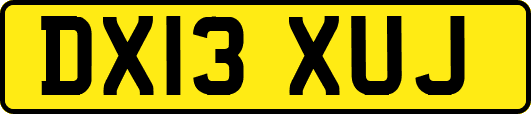 DX13XUJ