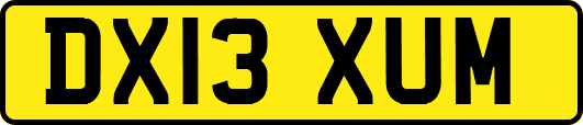 DX13XUM