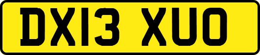 DX13XUO