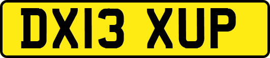 DX13XUP