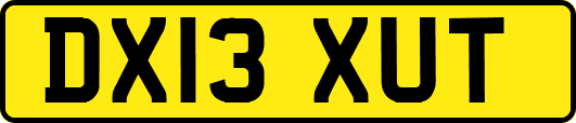 DX13XUT