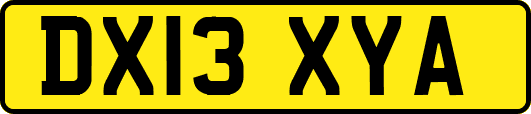 DX13XYA