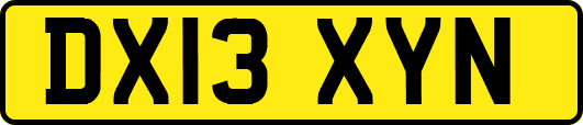 DX13XYN