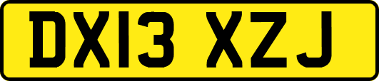 DX13XZJ