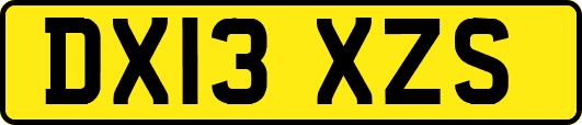 DX13XZS