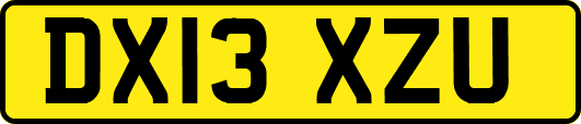 DX13XZU