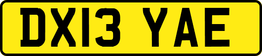 DX13YAE