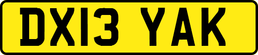 DX13YAK