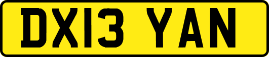DX13YAN