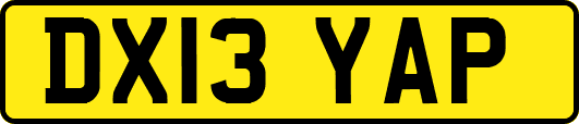 DX13YAP