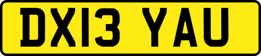 DX13YAU