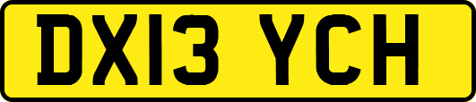 DX13YCH