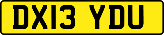 DX13YDU