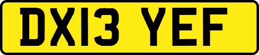 DX13YEF